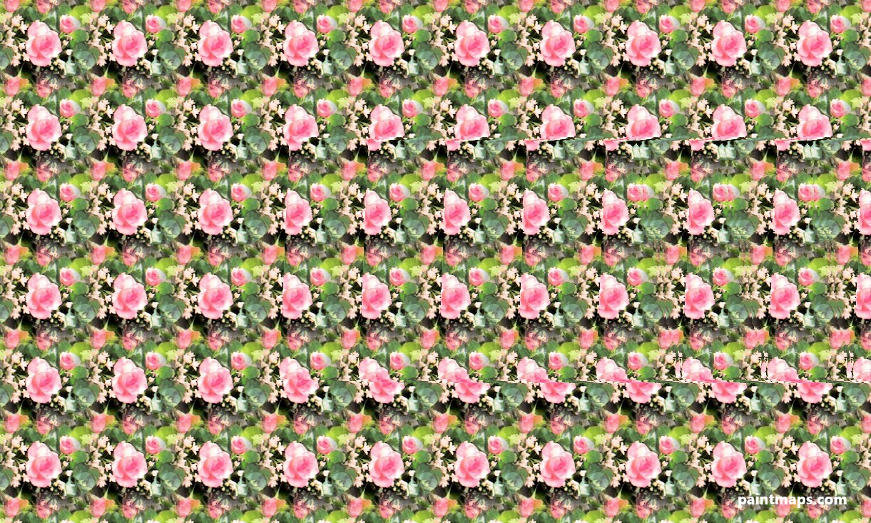 Kuzey-Dakota Haritası - 3D Stereogram (Şaşı Bak Şaşır)